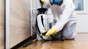 Best Termite Inspection and Treatment  in Lutcher, LA